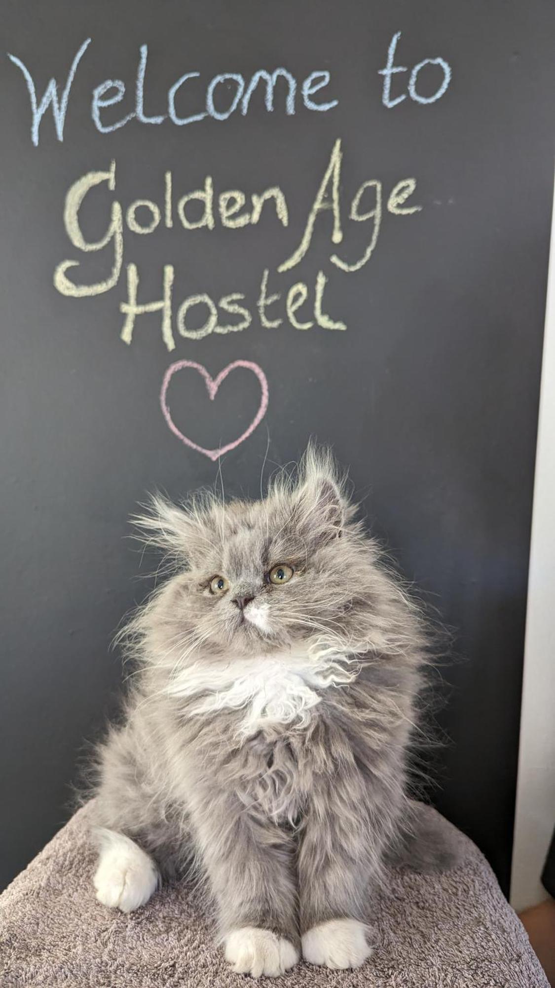 Golden Age Hostel أوهغيد المظهر الخارجي الصورة